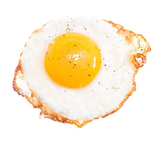 egg